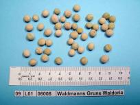 Click for 4 image(s) for this accession. Image